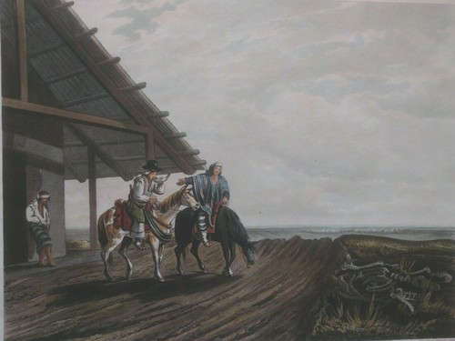 Essex Vidal, Picturesque illustrations of Buenos Ayres. A country public 1820 - Picture 2 of 10
