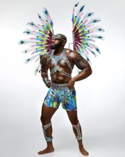 Male carnival costume. Med,LG,XL,2xl Caribbean carnival, masquerade, play mas.