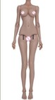 1/3 BJD Doll Dollshe DS Girl Body - Only Body (No head) +   DHL