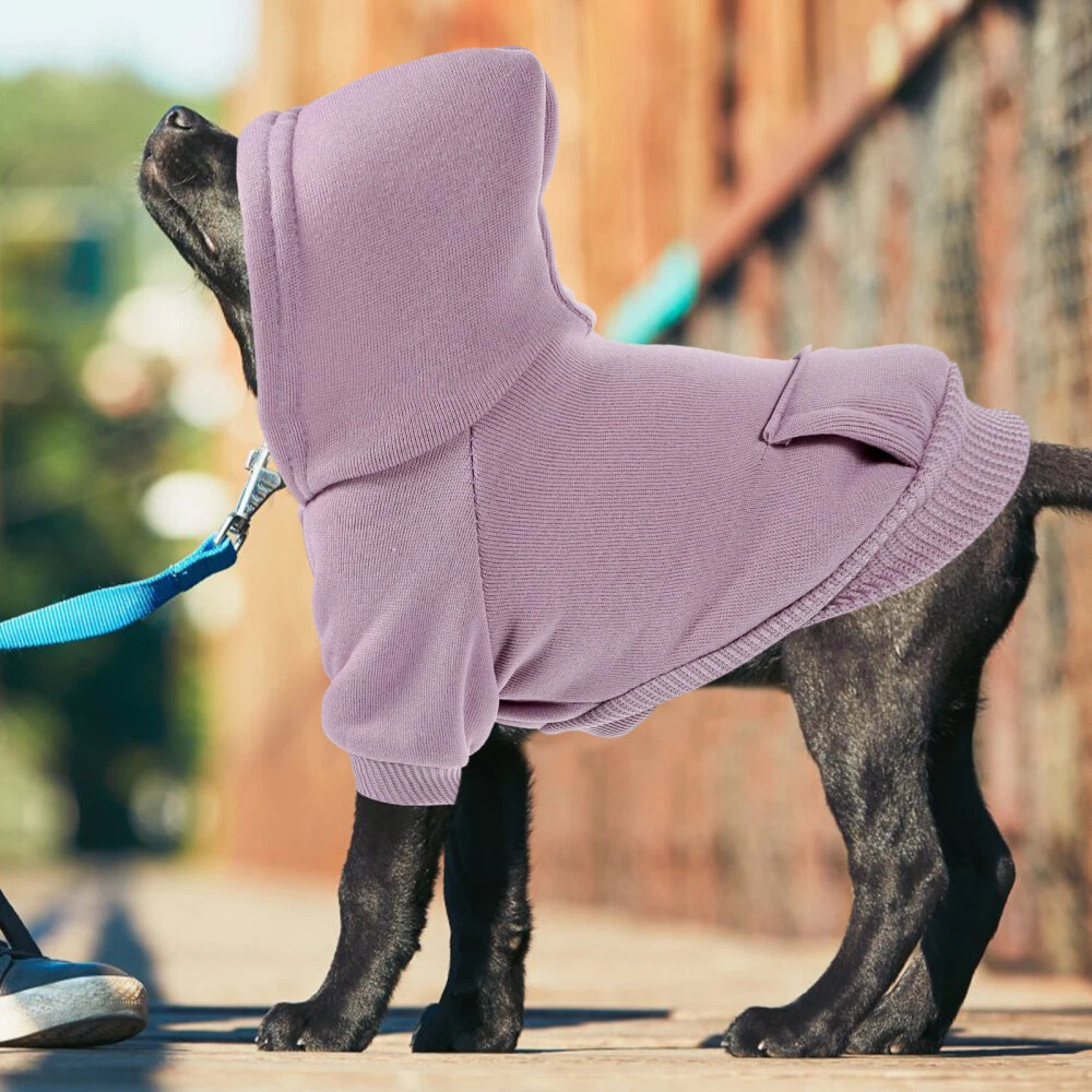 VETEMENTS Confezione 4 Vestiti Antivento Fretta Per Animali Domestici Felpa Cucciolo