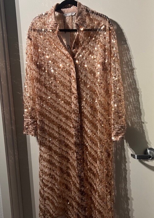 NWT- Zara Brown Sequin Shirt dress | eBay