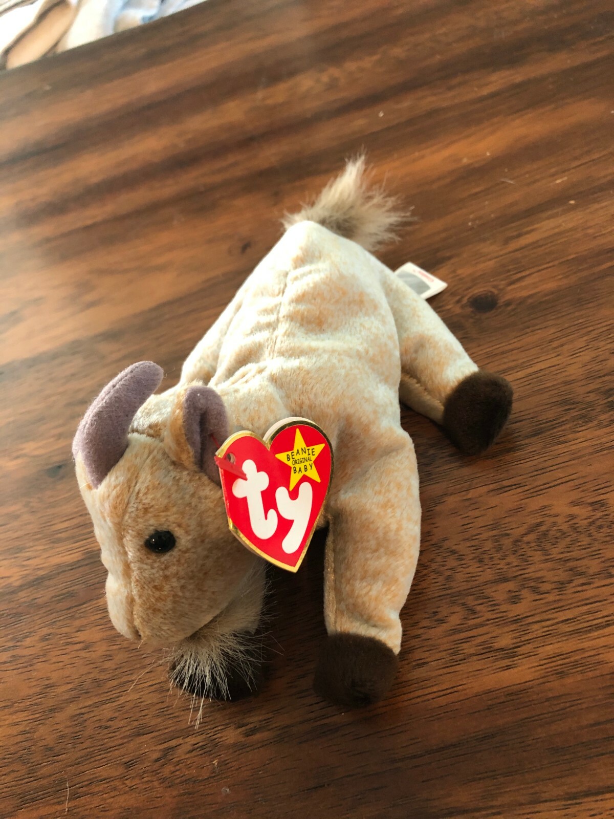 TY Beanie Baby 1998 GOATEE the Goat with Tags eBay