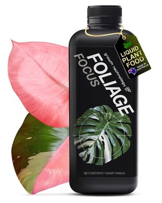 Liquid Indoor Plant Food   Concentrated Formula for Houseplants & Tropicals