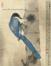 Chinese 100% real natural silk thread,su hand embroidery kits:bird 10"