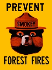 Smokey The Bear, Prevent Forest Fires NEW METAL SIGN: 9x12" w/ Free Shipping