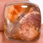 Natural Bird Eye Jasper Cushion Shape Cabochon Gemstone 19 Ct 15X15X8 mm A-17554