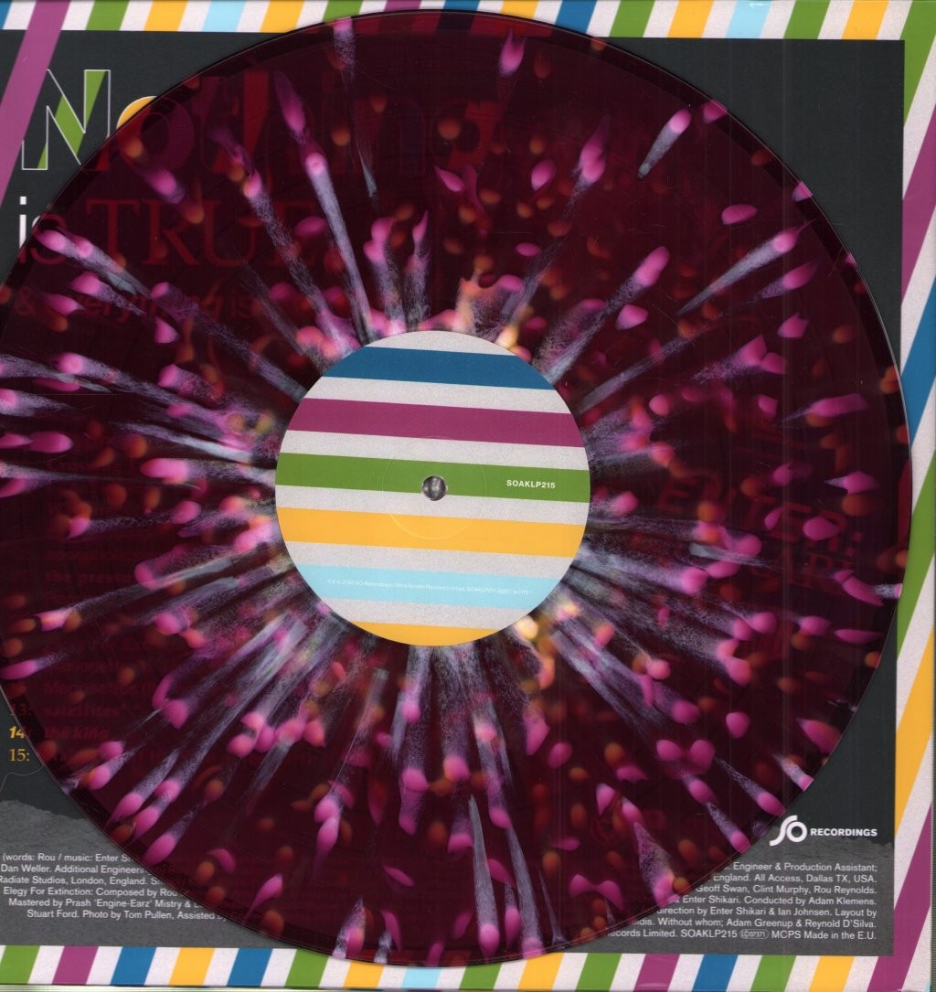 ENTER SHIKARI NOTHING IS TRUE & EVERYTHING IS POSSIBLE LP VINYL 15 track Purple