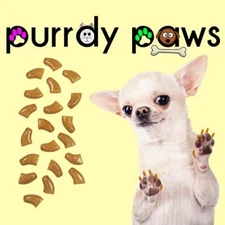 Soft Nail Caps For Dog Claws ( GOLD GLITTER ) * Purrdy Paws * 6 Sizes up to XXL