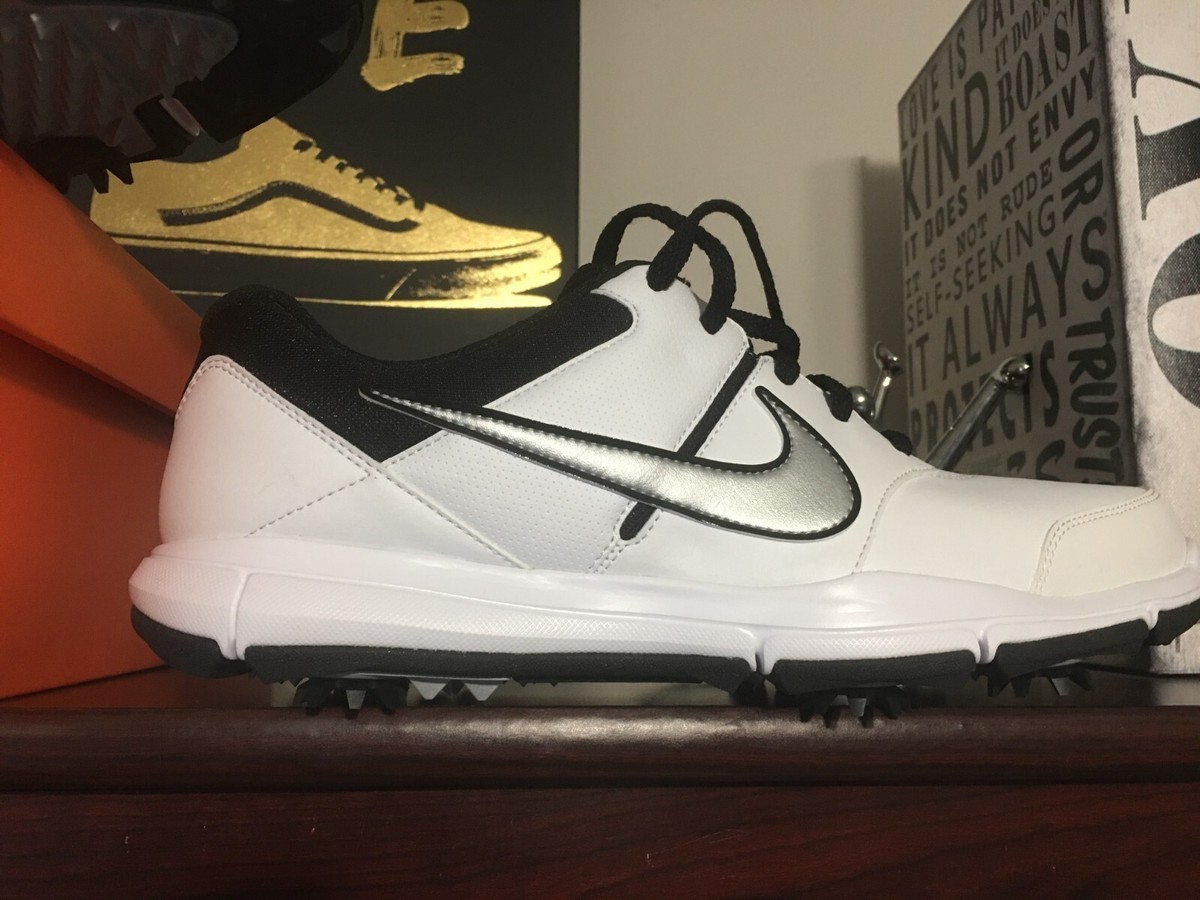 Mens Nike DURASPORT 4 Golf Shoes 844551-100 White Silver 