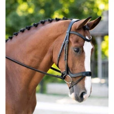 Black Oak Palm Ergonomic Dressage Bridle
