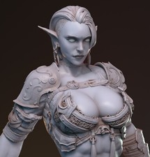 Hanza by Hardwitch Games  D D  DnD  Fantasy  Print on Demand