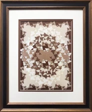    M.C.Escher "Fish" 1941 (Brown)  CUSTOM FRAMED Art Graphic Math Modern Aquatic