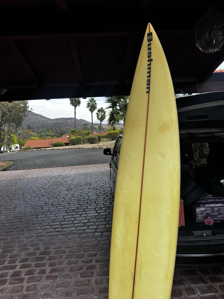 Bushman LONGBOARD Foto 2 de 4