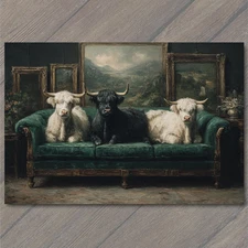 Art Print Highland Cows On Green Sofa Funny Farm Animal Rustic Humor Country Wes