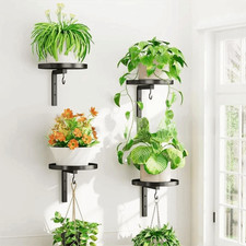 Potted Plant Display Stand Indoor Plant Hanger Metal Plant Shelf Wall Mount