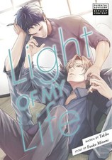 Light of My Life (Paperback)