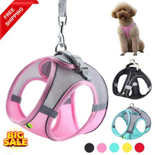 Dog Harness Leash Set for Small Dogs Adjustable Soft Mesh No Pull Puppy Cat Vest