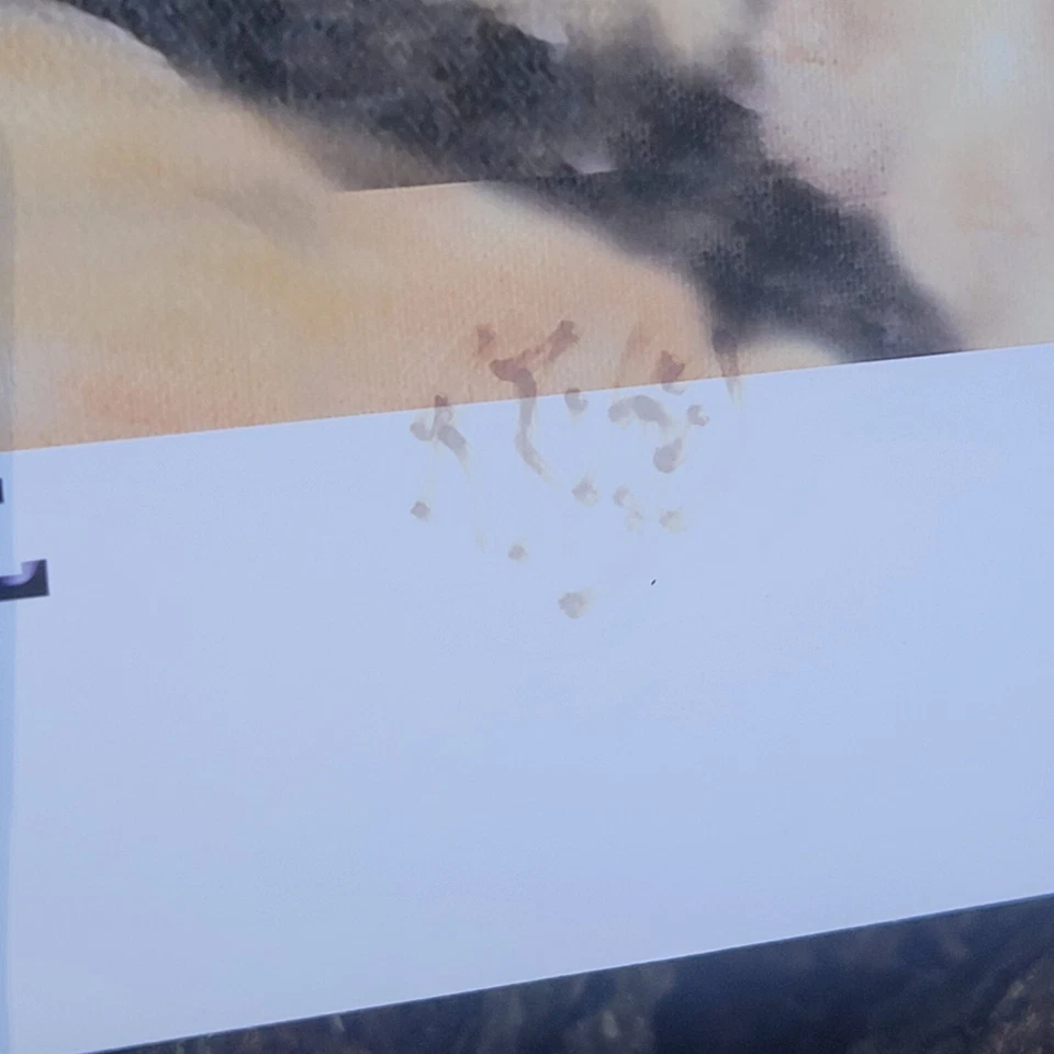 "Mi chica LSU" Richard Russell Pintó Mi chica Arkansas 14”x11” IMPRESIÓN  Foto 4 de 4