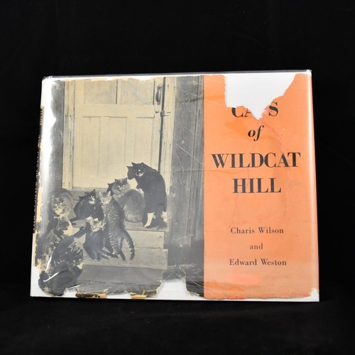THE CATS OF WILDCAT HILL Edward Weston First Edition Unclipped Dust Jacket - Picture 1 of 17