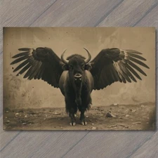 POSTCARD Buffalo Bison Majestic Winged Soaring in the Sky Buffalo Wings Funny