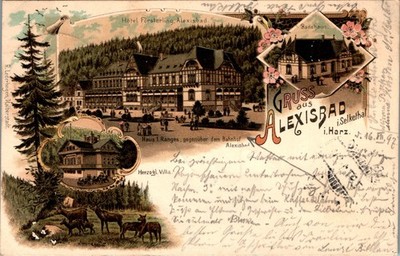 LITHO GRUSS AUS ALEXISBAD HARZGERODE HARZ HOTEL FÖRSTERLING 4 BILD COL. 1897