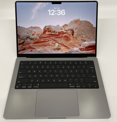 Apple MacBook Pro A2442 14,2'' M1 MAX 32GB RAM 1TB SSD Grade C US 744 Zyklen