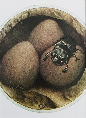 Edward Detmold montiert Vintage Illustration 1976 Insektenbuch Deckel Käfer