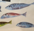 Foto 9 di 12