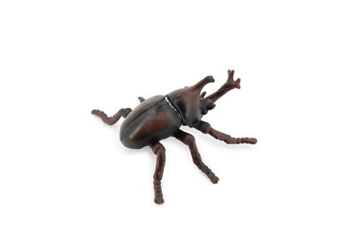 Japanese Rhinoceros Beetle, Realistic Toy Figure, Replica 2 1/2