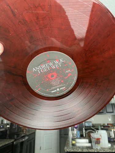 Andrew WK I Get Wet RED W/ BLACK SMOKE Webshop Exclusive Vinyl Signed RARE OOP - Bild 9 von 11