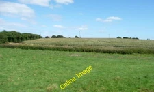 Photo 6x4 Arable crop at 5 metres above sea level Cantley/TG3803 As soon c2013