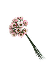 Gänseblümchen künstlich Bund 12cm rosa kleine Dekoblumen Kunstblumen Basteln