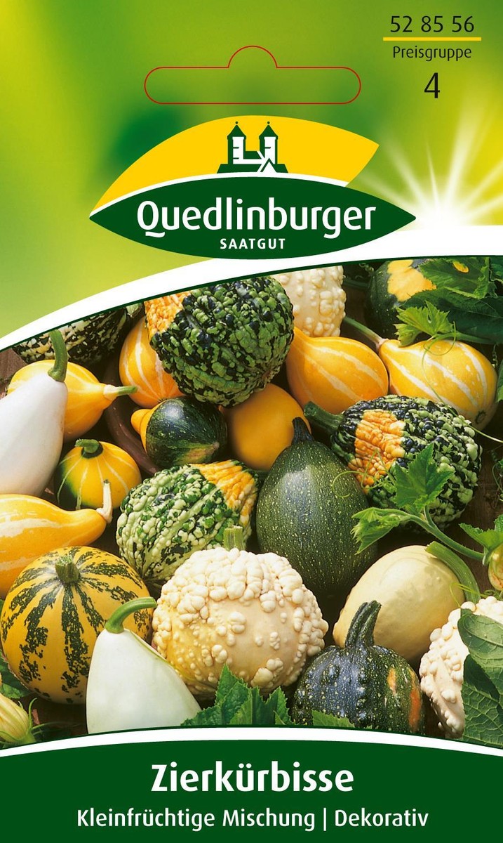 Zierkrbis kleinfrchtige Mischung Samen von Quedlinburger Saatgut | eBay.de