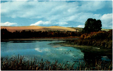 Old Mill Pond by Sleeping Bear Dune Glen Haven Michigan 1960s Chrome Postcard