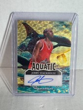 Jerry Stackhouse 2025 Leaf Signature Series Auto gold vinyl  Autograph 1/1
