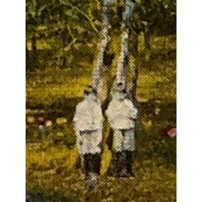 Antique 1915 Litho Ephemera Postcard Scene On Pine Lake With Twins Boys Fishing