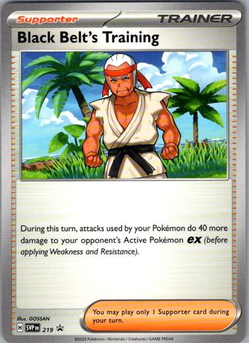 219 Black Belt's Training Promo Scarlet & Violet Promo NM/M Pokemon