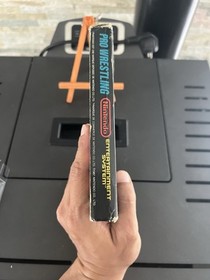 pro wrestling nes