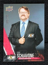 2021 Upper Deck AEW All Elite Wrestling Crew Exclusives /100 Tony Schiavone 0nr3