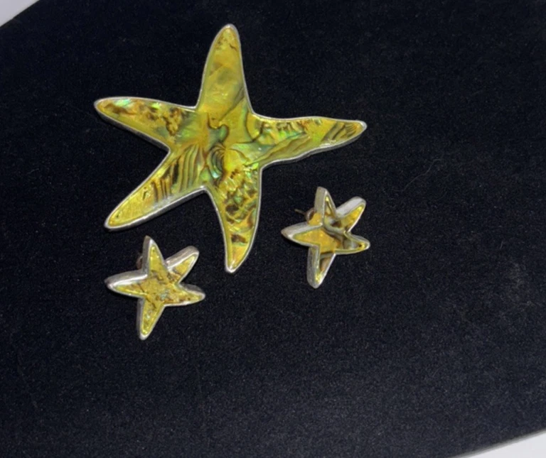 Broche Estrella de Mar / Pendiente Colgante a Juego Amarillo Multicolor Concha Náutica Foto 3 de 4