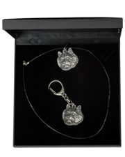 Norwich Terrier - set necklace, keyring with a dog, black box, Art Dog USA