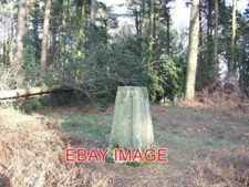 PHOTO  SOUTH HOLMWOOD TRIG POINT IN REDLANDS WOOD 2007