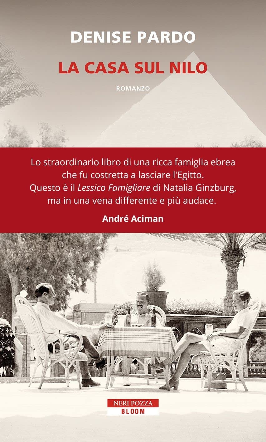 Дениз Пардо Дом суль Нило (в мягкой обложке) (ИМПОРТ ИЗ Великобритании)