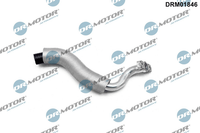 ÖLleitung Lader FüR CitroËN Ford Peugeot Berlingo / First GroßRaumlimousine DS3