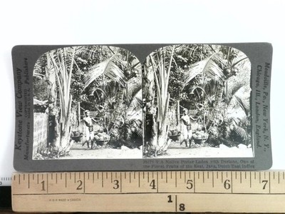 Native Porter Laden with Durians Stereoview Keystone View Co. 1900s Java