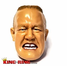 WWE Jakks FIT FINLAY Wrestling Figure HEAD Custom Fodder DA WCW Ireland
