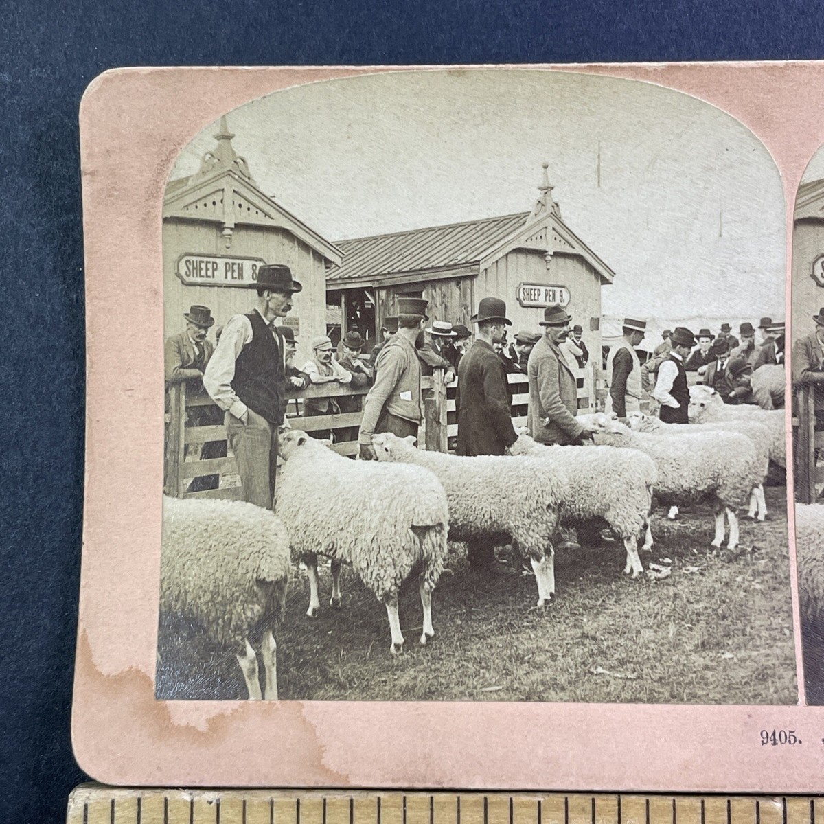Why Sheep? ‎– Sampling Concerto 60f27ad0-5624-11ef-b082-