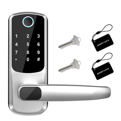 Silver Smart Door Lock Wifi Biometric Fingerprint Touch Password Digital Keyless