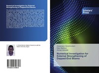 Abdelnaser Abdelmoniem (U. A.) | Numerical Investigation For External...