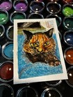 Tortoishell Cat “Dulce” ACEO watercolor painting. Cat. Tortie. Kelly.Ospina. — photo 6